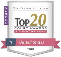 Top 20 Court Awards in the United States in 2018